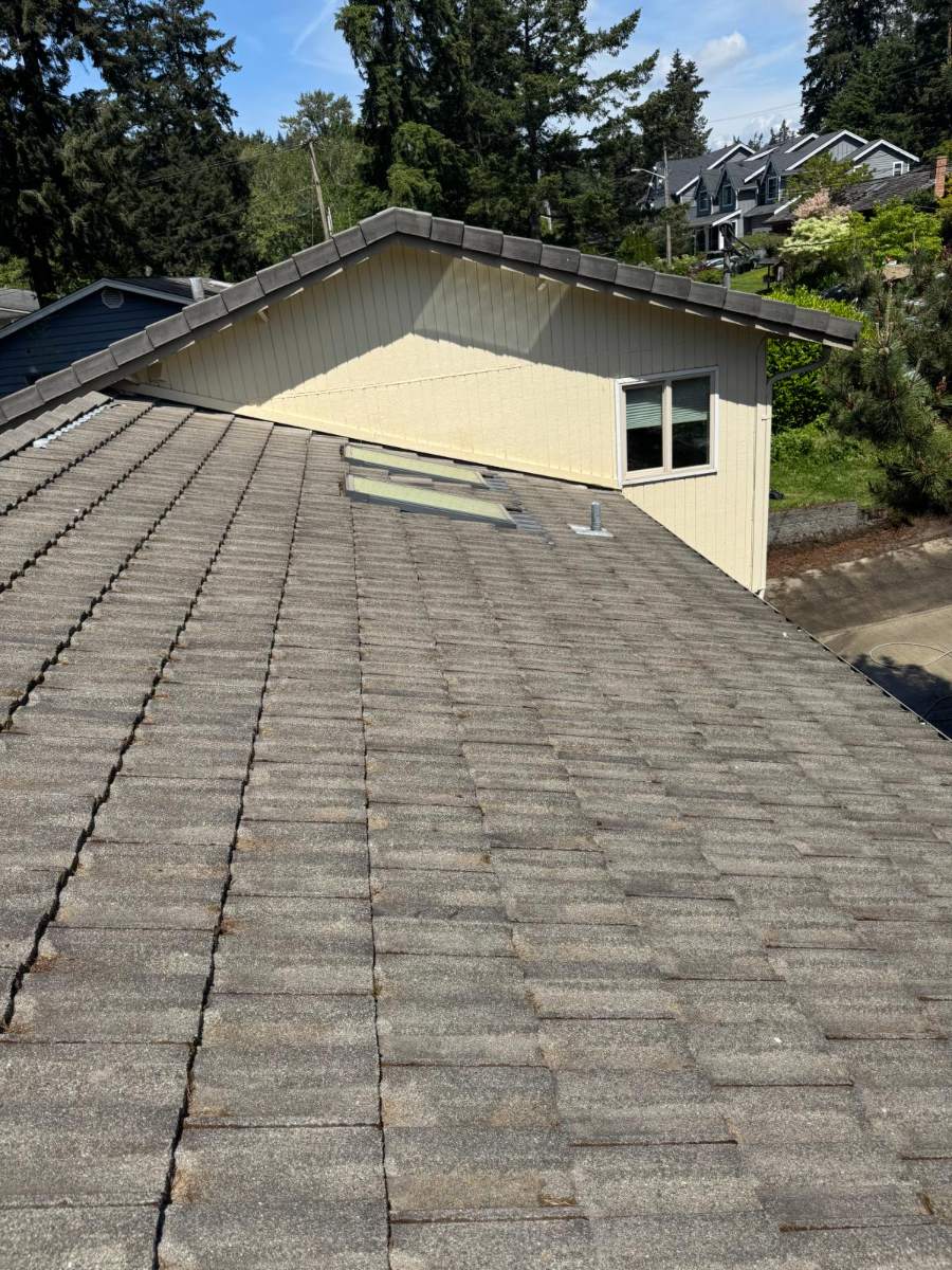 Same tile roof fully cleared of debris after cleaning