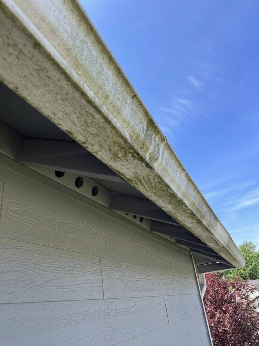 Gutter exterior covered in moss, algae, and weathered staining before cleaning